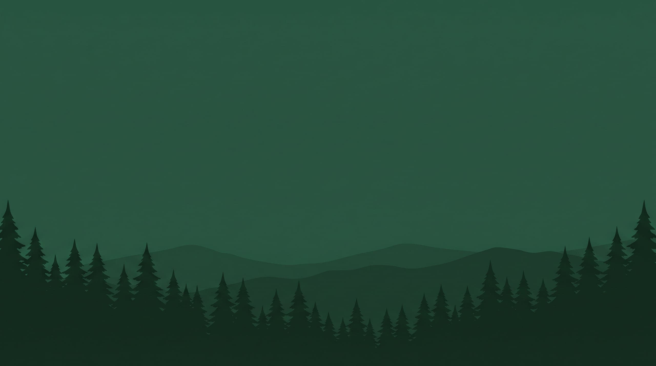 Silhouetted pine treetops